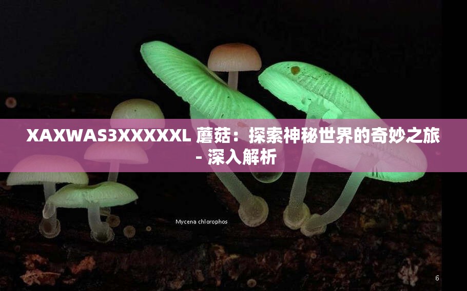 XAXWAS3XXXXXL 蘑菇：探索神秘世界的奇妙之旅 - 深入解析