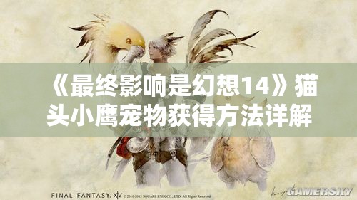 《最终影响是幻想14》猫头小鹰宠物获得方法详解