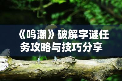 《鸣潮》破解字谜任务攻略与技巧分享